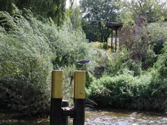 P9150005.JPG