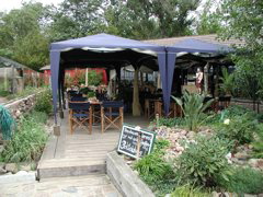 P9150026.JPG